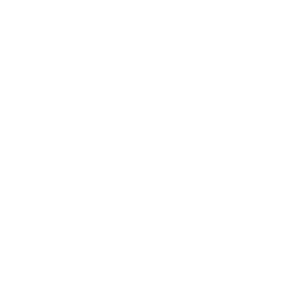 SAP
